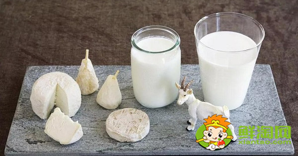 牛奶转羊奶的正确方法与步骤(牛奶转羊奶的正确方法与步骤图片)