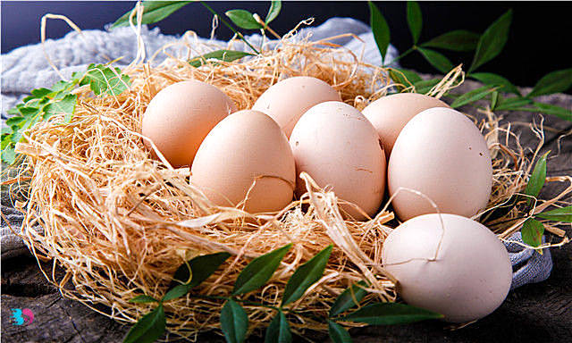 无菌鸡蛋可以生吃吗(无菌鸡蛋可以生吃吗 有什么营养 要注意哪些)