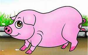 生肖猪的1983运势(1983出生的生肖猪是什么命)