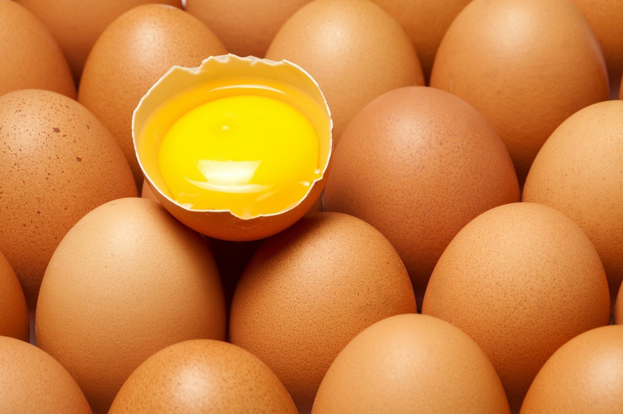 冲鸡蛋花的正确做法(鸡蛋花的做法和功效有哪些这个值得了解吗)