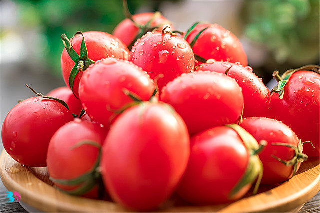 吃小番茄的好处(大番茄和小番茄的区别常吃小番茄有什么好处吗)