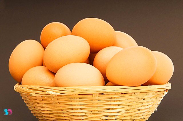 一个鹌鹑蛋顶几个鸡蛋(鹌鹑蛋能不能代替鸡蛋吃呢)
