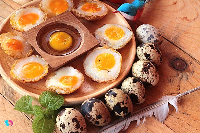 鹌鹑蛋和鸡蛋哪个好区别在哪(鹌鹑蛋和鸡蛋哪个适合孩子吃呢)