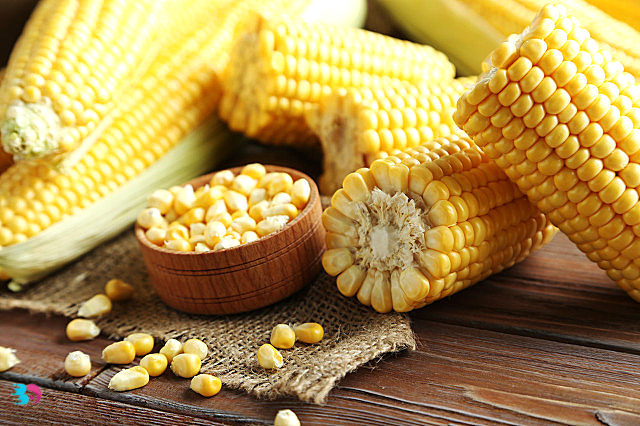 长期吃玉米面的好处(吃玉米和玉米面的功效一样吗)