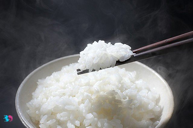 两人份米饭需要多少米(两人份米饭放多少克米)