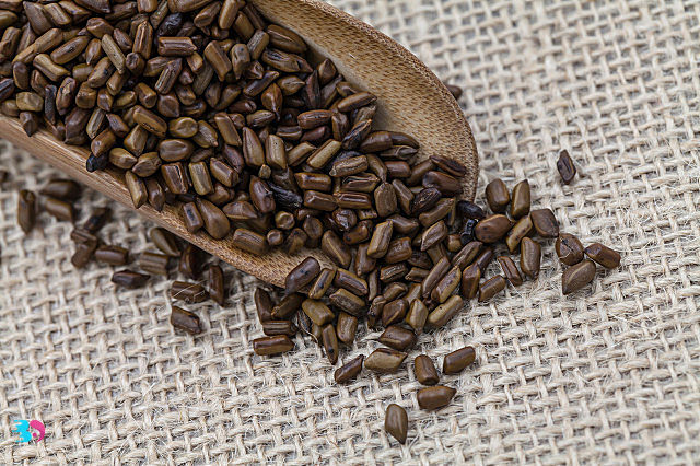 咖啡豆保质期是多久(咖啡豆保质期是多长时间啊)