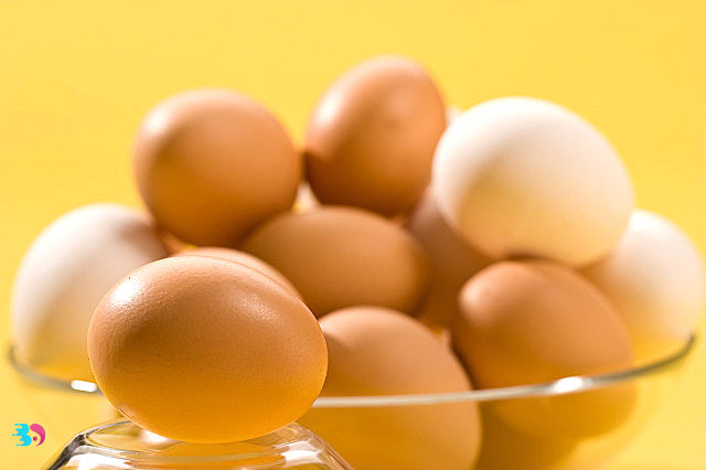 鸡蛋和豆浆(你知不知道鸡蛋)