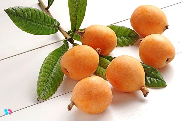 枇杷柑(杷杷柑和丑橘的区别)