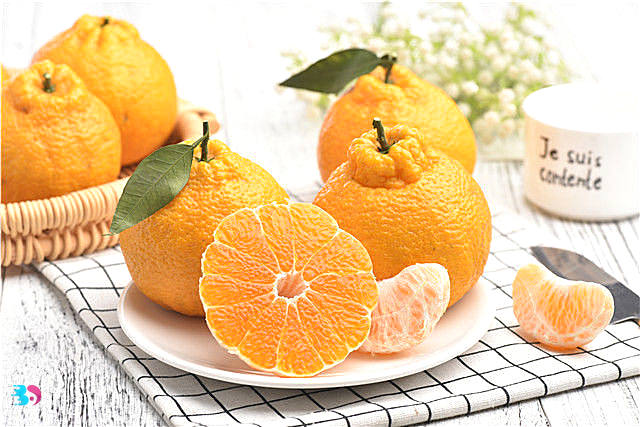 柑和橘的区别(柑和橘的区别)