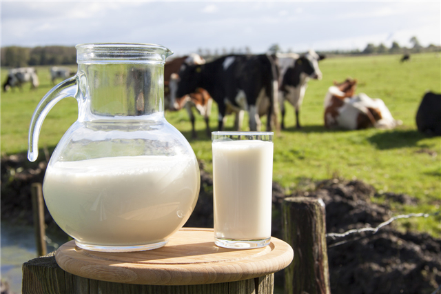 牛奶喝多了会胖吗(喝牛奶会胖吗牛奶喝多了也有一定的副作用吗)