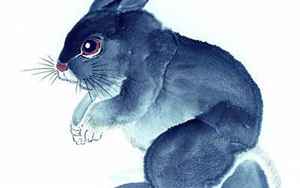 兔子的象征意义