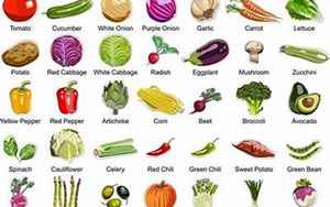 蔬菜品种大全名字