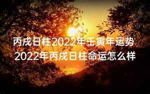 2022年壬寅丙戌运势