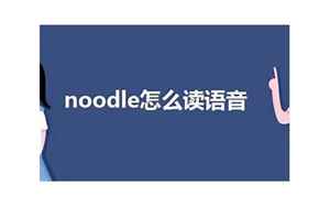 noodles怎么读