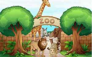 zoo的复数形式