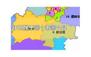 伊川县属于哪个市