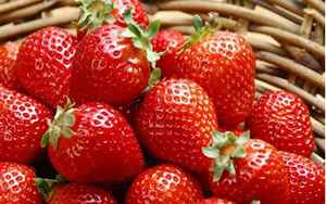 草莓是什么意思