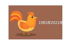 1981属鸡运势2021