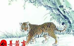 2025年属虎狮子运势