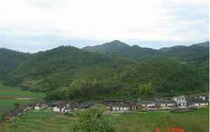 文峰村
