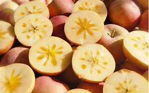 阿克苏苹果多少钱一斤