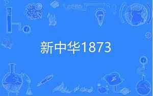 新中华1873