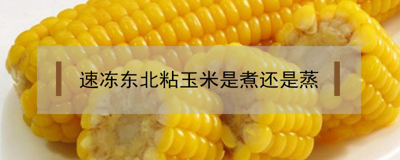 东北速冻粘玉米(东北速冻粘玉米有防腐剂吗?)