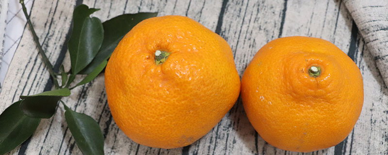 丑橘(丑橘的功效与作用)
