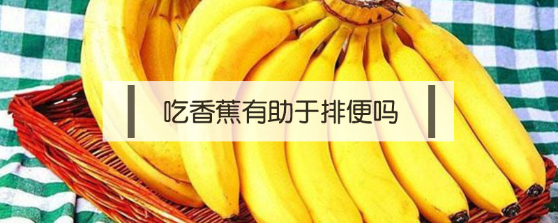 香蕉有助于排便吗(什么时候吃香蕉有助于排便)