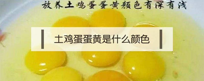 鸡蛋蛋黄颜色深浅有什么区别(鸡蛋蛋黄深色和浅色有什么区别)
