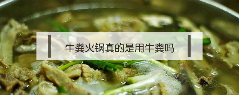 牛粪火锅(牛粪火锅是哪里的特产)