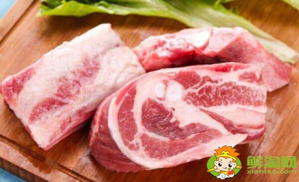 白肉和红肉的区别(猫罐头白肉和红肉的区别)