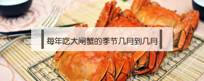螃蟹季节(螃蟹季节几月到几月)