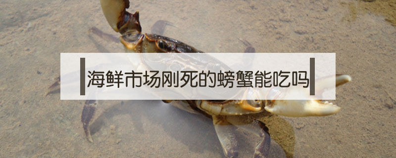 刚死的螃蟹能吃吗(刚死的螃蟹能吃吗?)