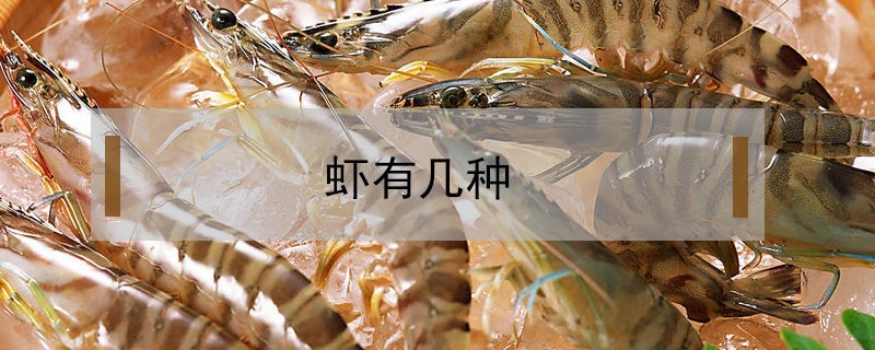 淡水虾有几种(养殖的淡水虾有几种)