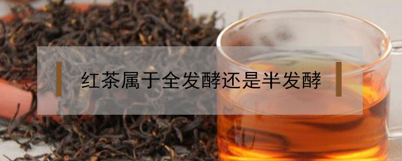 红茶是半发酵茶还是全发酵茶(红茶是半发酵茶还是完全发酵茶)