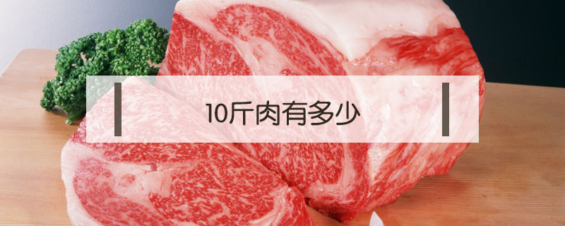 十斤肉(十斤肉有多少的图片)