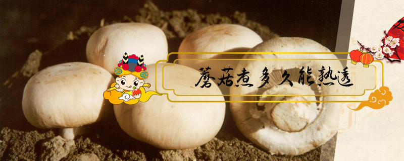 蘑菇要煮多久(蘑菇要煮多久才熟)