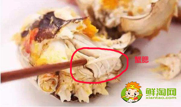 螃蟹的吃法(螃蟹的吃法做法大全)