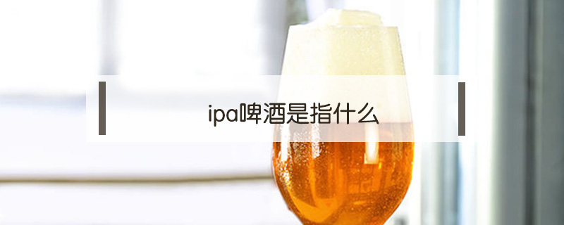 啤酒ipa什么意思(啤酒ipa是什么)