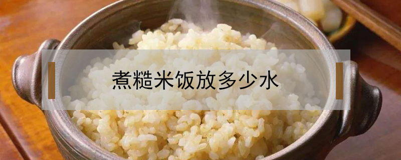 煮糙米饭放多少水(高压锅煮糙米饭放多少水)