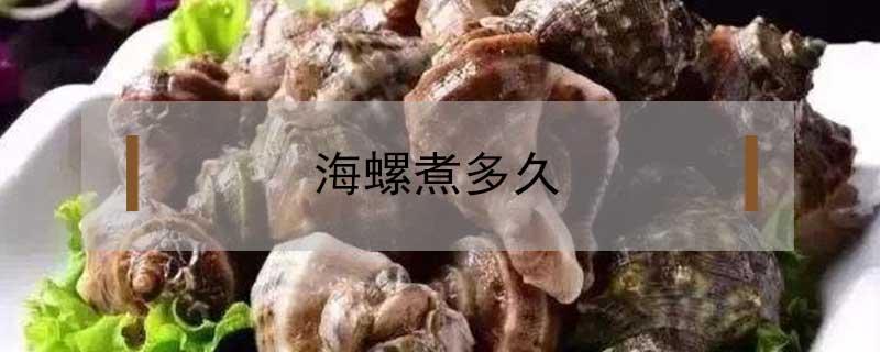 煮海螺的正确方法(海螺的做法最正宗的做法)