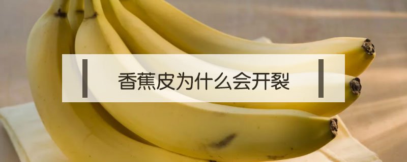 香蕉含有多少水分(香蕉含有多少水分0.3还是0.75)