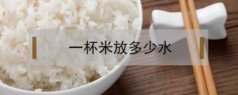 一杯米放多少水蒸米饭(一杯米放多少水)