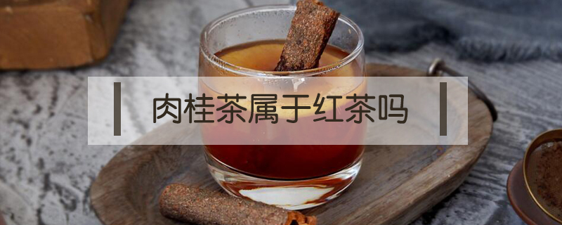 肉桂茶属于红茶吗(正岩肉桂茶属于红茶吗)