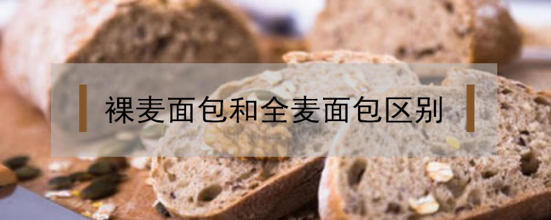 裸麦面包和全麦面包区别(全麦和裸麦面包的区别)