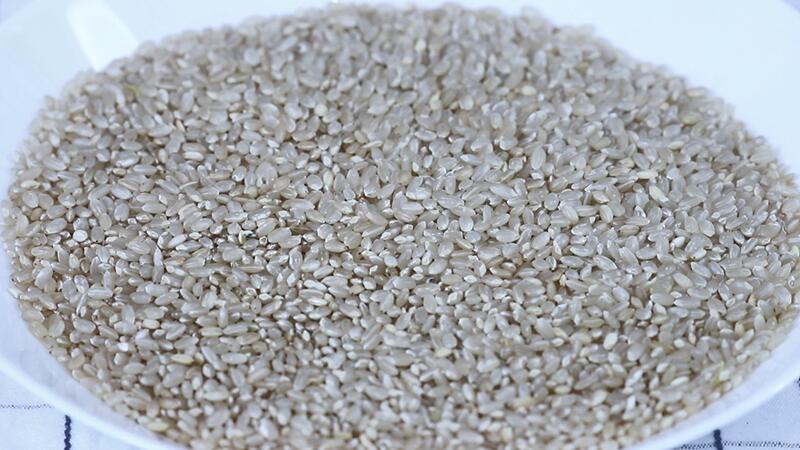 什么叫糙米(什么叫糙米与精米的区别)