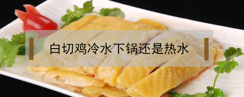 白切鸡是冷水下锅还是热水下锅(白切鸡是冷水下锅还是热水下锅蒸)