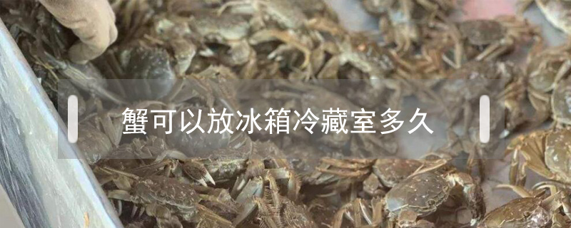 螃蟹放冰箱保鲜可以放几天(煮熟螃蟹放冰箱保鲜可以放几天)