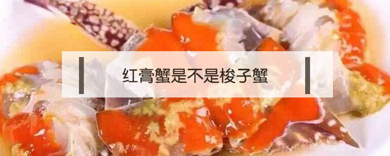 红膏蟹(红膏蟹要蒸几分钟)
